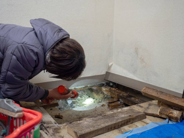 Asbestos and Lead Testing During Mold Inspection in Massapequa Park, NY