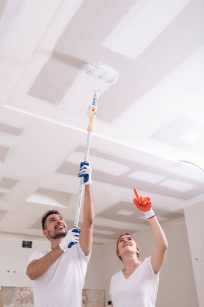 Best Residential Mold Inspection & Testing  in Massapequa Park, NY