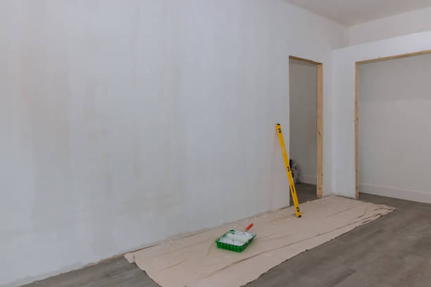 Best Water Damage & Mold Remediation  in Massapequa Park, NY