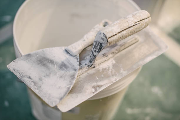 Best Attic Mold Removal  in Massapequa Park, NY